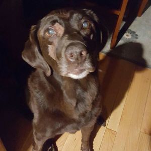 Meet your Posher, Barbara